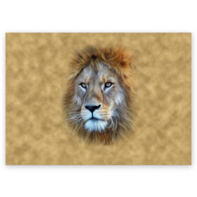 Поздравительная открытка с принтом Лев в Тюмени, 100% бумага | плотность бумаги 280 г/м2, матовая, на обратной стороне линовка и место для марки
 | голова | животные | кошка | лев | львица | природа | хищник