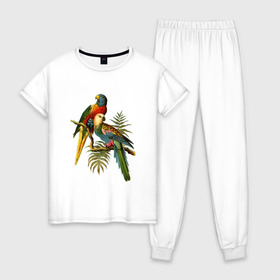 Женская пижама хлопок с принтом Попугаи в Тюмени, 100% хлопок | брюки и футболка прямого кроя, без карманов, на брюках мягкая резинка на поясе и по низу штанин | ветки | винтаж | листья | пальмы | перья | попугаи | птицы