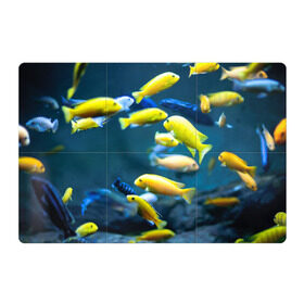 Магнитный плакат 3Х2 с принтом Рыбки в Тюмени, Полимерный материал с магнитным слоем | 6 деталей размером 9*9 см | fish | fishes | pisces | море | морские обитатели | морской | океан | рыбы