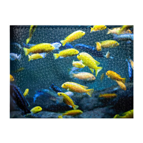 Обложка для студенческого билета с принтом Рыбки в Тюмени, натуральная кожа | Размер: 11*8 см; Печать на всей внешней стороне | Тематика изображения на принте: fish | fishes | pisces | море | морские обитатели | морской | океан | рыбы