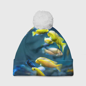Шапка 3D c помпоном с принтом Рыбки в Тюмени, 100% полиэстер | универсальный размер, печать по всей поверхности изделия | fish | fishes | pisces | море | морские обитатели | морской | океан | рыбы