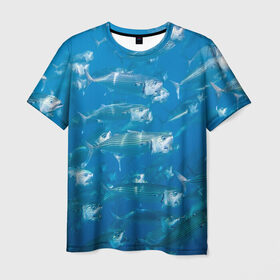 Мужская футболка 3D с принтом Рыбы океана в Тюмени, 100% полиэфир | прямой крой, круглый вырез горловины, длина до линии бедер | Тематика изображения на принте: fish | fishes | pisces | море | морские обитатели | морской | океан | рыбы