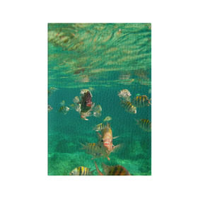 Обложка для паспорта матовая кожа с принтом abyssal fishes в Тюмени, натуральная матовая кожа | размер 19,3 х 13,7 см; прозрачные пластиковые крепления | Тематика изображения на принте: fish | fishes | pisces | море | морские обитатели | морской | океан | рыбы
