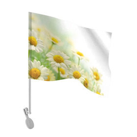Флаг для автомобиля с принтом Полевые ромашки в Тюмени, 100% полиэстер | Размер: 30*21 см | луг | поле | цветы
