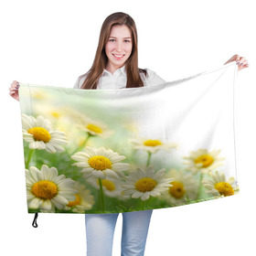 Флаг 3D с принтом Полевые ромашки в Тюмени, 100% полиэстер | плотность ткани — 95 г/м2, размер — 67 х 109 см. Принт наносится с одной стороны | луг | поле | цветы