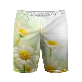 Мужские шорты 3D спортивные с принтом Полевые ромашки в Тюмени,  |  | луг | поле | цветы