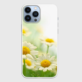 Чехол для iPhone 13 Pro Max с принтом Полевые ромашки в Тюмени,  |  | Тематика изображения на принте: луг | поле | цветы