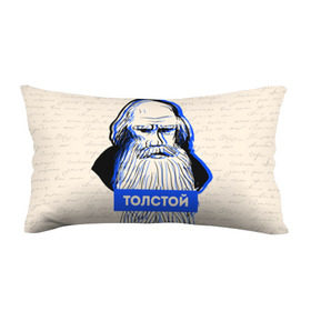 Подушка 3D антистресс с принтом Лев Толстой в Тюмени, наволочка — 100% полиэстер, наполнитель — вспененный полистирол | состоит из подушки и наволочки на молнии | Тематика изображения на принте: 