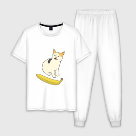 Мужская пижама хлопок с принтом Cat no banana в Тюмени, 100% хлопок | брюки и футболка прямого кроя, без карманов, на брюках мягкая резинка на поясе и по низу штанин
 | Тематика изображения на принте: angry cat | banana | cat | no banana