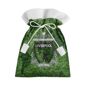Подарочный 3D мешок с принтом Championship Liverpool в Тюмени, 100% полиэстер | Размер: 29*39 см | football | soccer | ливерпуль