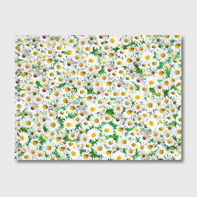 Альбом для рисования с принтом Ромашки в Тюмени, 100% бумага
 | матовая бумага, плотность 200 мг. | chamomile | daisies | flowers | nature | природа | растения | ромашки | текстура | цветы