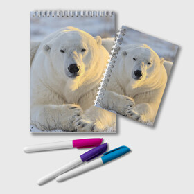 Блокнот с принтом Медведь в Тюмени, 100% бумага | 48 листов, плотность листов — 60 г/м2, плотность картонной обложки — 250 г/м2. Листы скреплены удобной пружинной спиралью. Цвет линий — светло-серый
 | animal | bear | животное | зверь | медведь | миша | россия