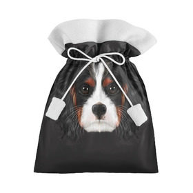 Подарочный 3D мешок с принтом Cavalier King Charles в Тюмени, 100% полиэстер | Размер: 29*39 см | Тематика изображения на принте: голова | собака | спаниель