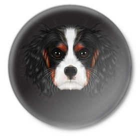 Значок с принтом Cavalier King Charles в Тюмени,  металл | круглая форма, металлическая застежка в виде булавки | Тематика изображения на принте: голова | собака | спаниель