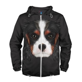 Мужская ветровка 3D с принтом Cavalier King Charles в Тюмени, 100% полиэстер | подол и капюшон оформлены резинкой с фиксаторами, два кармана без застежек по бокам, один потайной карман на груди | Тематика изображения на принте: голова | собака | спаниель