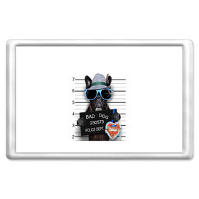 Магнит 45*70 с принтом BAD DOG в Тюмени, Пластик | Размер: 78*52 мм; Размер печати: 70*45 | art | bad dog | преступник | собака