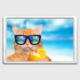 Магнит 45*70 с принтом Кот на пляже в Тюмени, Пластик | Размер: 78*52 мм; Размер печати: 70*45 | summer | апельсиновый сок | кот | кот на пляже | коте | котик | котэ | котяра | лето | море | небо | отдых | очки | пляже
