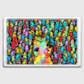 Магнит 45*70 с принтом Котики на дискотеке в Тюмени, Пластик | Размер: 78*52 мм; Размер печати: 70*45 | кошки | паттерн | психоделика | разноцветный | яркий