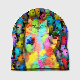 Шапка 3D с принтом Котики на дискотеке в Тюмени, 100% полиэстер | универсальный размер, печать по всей поверхности изделия | кошки | паттерн | психоделика | разноцветный | яркий