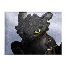 Обложка для студенческого билета с принтом как приручить дракона в Тюмени, натуральная кожа | Размер: 11*8 см; Печать на всей внешней стороне | how to train your dragon | беззубик | дракон | как приручить дракона | ночная фурия