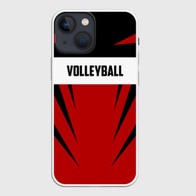 Чехол для iPhone 13 mini с принтом Volleyball в Тюмени,  |  | Тематика изображения на принте: sport | volleyball | волейбол | спорт