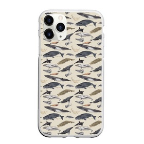 Чехол для iPhone 11 Pro Max матовый с принтом Whales pattern в Тюмени, Силикон |  | whale | акула | горбач | касатка | кашалот | кит | море | океан | рыбы | синий кит