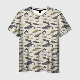 Мужская футболка 3D с принтом Whales pattern в Тюмени, 100% полиэфир | прямой крой, круглый вырез горловины, длина до линии бедер | whale | акула | горбач | касатка | кашалот | кит | море | океан | рыбы | синий кит