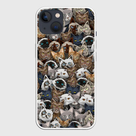 Чехол для iPhone 13 с принтом Коты разных пород в Тюмени,  |  | бенгальский | кот | котик | котики | кошка | мейн кун | паттерн | персидский | сиамский | сфинкс
