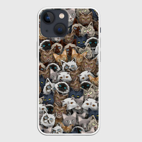 Чехол для iPhone 13 mini с принтом Коты разных пород в Тюмени,  |  | бенгальский | кот | котик | котики | кошка | мейн кун | паттерн | персидский | сиамский | сфинкс