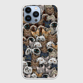 Чехол для iPhone 13 Pro Max с принтом Коты разных пород в Тюмени,  |  | бенгальский | кот | котик | котики | кошка | мейн кун | паттерн | персидский | сиамский | сфинкс