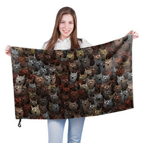 Флаг 3D с принтом Глупые коты в Тюмени, 100% полиэстер | плотность ткани — 95 г/м2, размер — 67 х 109 см. Принт наносится с одной стороны | кот | котик | котики | кошка | паттерн