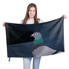 Флаг 3D с принтом Голубь Наташа в Тюмени, 100% полиэстер | плотность ткани — 95 г/м2, размер — 67 х 109 см. Принт наносится с одной стороны | natasha | голубь наташа | мемы