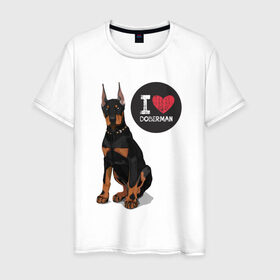Мужская футболка хлопок с принтом Я люблю Добермана в Тюмени, 100% хлопок | прямой крой, круглый вырез горловины, длина до линии бедер, слегка спущенное плечо. | доберман | с доберманом | собака | собаки | собачки | я люблю