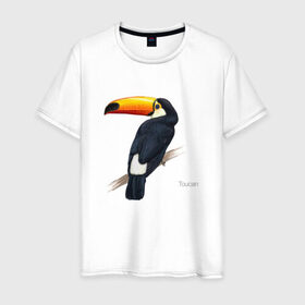 Мужская футболка хлопок с принтом Тукан в Тюмени, 100% хлопок | прямой крой, круглый вырез горловины, длина до линии бедер, слегка спущенное плечо. | птица | птицы | с птицей | тукан | экзотика