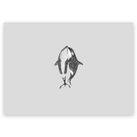 Поздравительная открытка с принтом Киты в Тюмени, 100% бумага | плотность бумаги 280 г/м2, матовая, на обратной стороне линовка и место для марки
 | арт | касатка | касатки | кит | море | океан | рисунок | узор