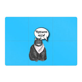 Магнитный плакат 3Х2 с принтом Толстый кот в Тюмени, Полимерный материал с магнитным слоем | 6 деталей размером 9*9 см | Тематика изображения на принте: еда | кот | кушать | мем | черешня