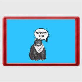 Магнит 45*70 с принтом Толстый кот в Тюмени, Пластик | Размер: 78*52 мм; Размер печати: 70*45 | еда | кот | кушать | мем | черешня