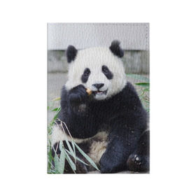 Обложка для паспорта матовая кожа с принтом Большая панда в Тюмени, натуральная матовая кожа | размер 19,3 х 13,7 см; прозрачные пластиковые крепления | бамбук | белый | джунгли | дикое | животное | китай | лес | медведь | черный