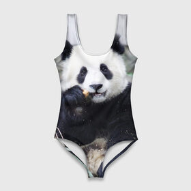 Купальник-боди 3D с принтом Большая панда в Тюмени, 82% полиэстер, 18% эластан | Круглая горловина, круглый вырез на спине | бамбук | белый | джунгли | дикое | животное | китай | лес | медведь | черный
