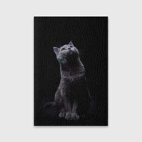 Обложка для паспорта матовая кожа с принтом Милый котик в Тюмени, натуральная матовая кожа | размер 19,3 х 13,7 см; прозрачные пластиковые крепления | Тематика изображения на принте: кот | котенок | кошка | милый | пушистый | черный