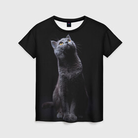 Женская футболка 3D с принтом Милый котик в Тюмени, 100% полиэфир ( синтетическое хлопкоподобное полотно) | прямой крой, круглый вырез горловины, длина до линии бедер | кот | котенок | кошка | милый | пушистый | черный