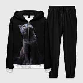 Мужской костюм 3D с принтом Милый котик в Тюмени, 100% полиэстер | Манжеты и пояс оформлены тканевой резинкой, двухслойный капюшон со шнурком для регулировки, карманы спереди | кот | котенок | кошка | милый | пушистый | черный