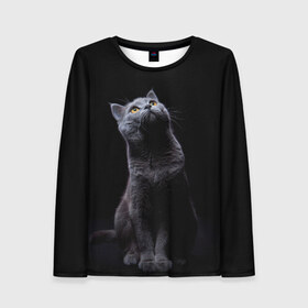 Женский лонгслив 3D с принтом Милый котик в Тюмени, 100% полиэстер | длинные рукава, круглый вырез горловины, полуприлегающий силуэт | кот | котенок | кошка | милый | пушистый | черный