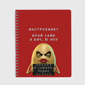 Тетрадь с принтом Я сажала редис в Тюмени, 100% бумага | 48 листов, плотность листов — 60 г/м2, плотность картонной обложки — 250 г/м2. Листы скреплены сбоку удобной пружинной спиралью. Уголки страниц и обложки скругленные. Цвет линий — светло-серый
 | жидковский | морнинг | настроение | я сажала редис