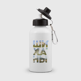 Бутылка спортивная с принтом Шиханы в Тюмени, металл | емкость — 500 мл, в комплекте две пластиковые крышки и карабин для крепления | башкортостан | горы шихан | стерлитамак | шихан | шиханы