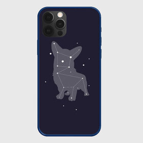 Чехол для iPhone 12 Pro с принтом Корги в Тюмени, силикон | область печати: задняя сторона чехла, без боковых панелей | corgi | dog | dogs | корги | пес | порода | собака | щенки | щенок
