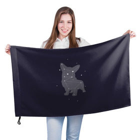 Флаг 3D с принтом Корги в Тюмени, 100% полиэстер | плотность ткани — 95 г/м2, размер — 67 х 109 см. Принт наносится с одной стороны | corgi | dog | dogs | корги | пес | порода | собака | щенки | щенок