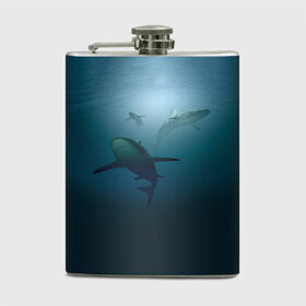 Фляга с принтом Акулы в Тюмени, металлический корпус | емкость 0,22 л, размер 125 х 94 мм. Виниловая наклейка запечатывается полностью | море | океан | подводный мир | рыба | хищник