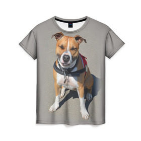 Женская футболка 3D с принтом Стаффордшир в Тюмени, 100% полиэфир ( синтетическое хлопкоподобное полотно) | прямой крой, круглый вырез горловины, длина до линии бедер | животные | пес | питбуль | природа | собака | стафф | стаффордшир | стаффордширский терьер