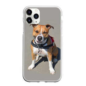 Чехол для iPhone 11 Pro Max матовый с принтом Стаффордшир в Тюмени, Силикон |  | Тематика изображения на принте: животные | пес | питбуль | природа | собака | стафф | стаффордшир | стаффордширский терьер